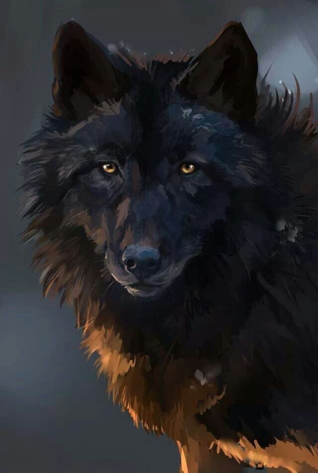 e9c255d740de0b7b6906c2f03a53893a.jpg.jpeg
