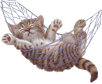 ee7aa7df6b63eff7fd74dd6032e0a92c.gif