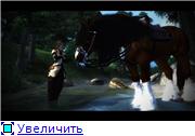 ef7099034bb7t.jpg.jpeg