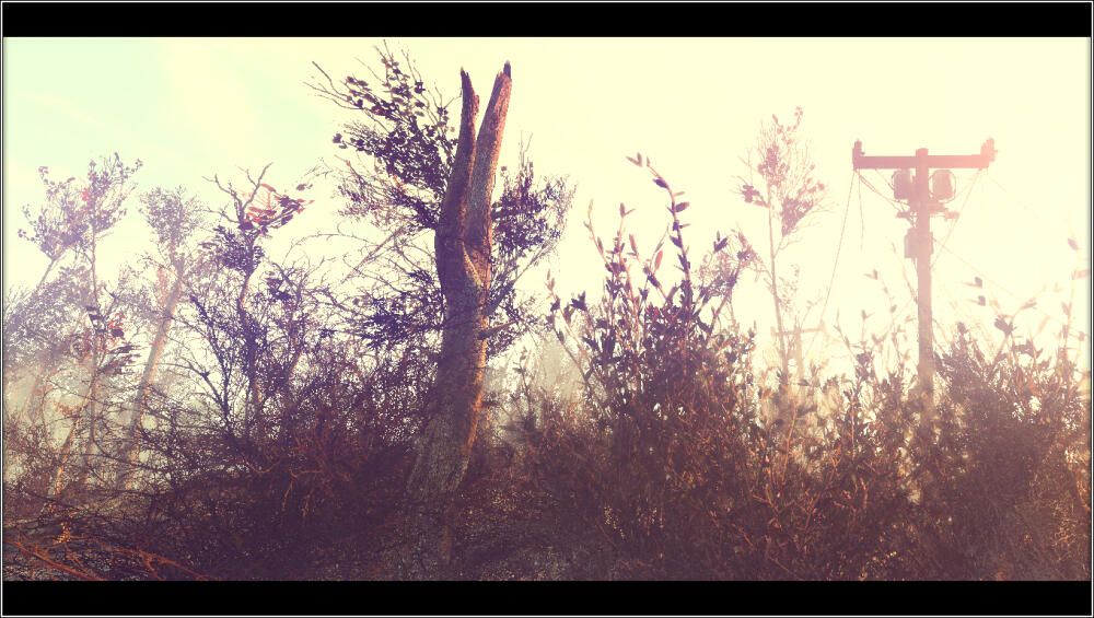 f3a59789f055.jpg.jpeg