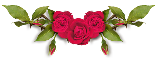 f8d4d5ba6c3b7ea2c65a7a9fdb03eba7.png.webp.png