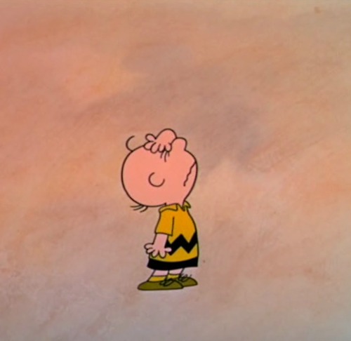 facepalm-Charlie-Brown.jpg.jpeg