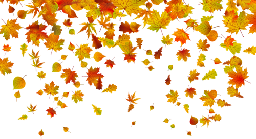 fd15b8c1c1b0e47449addb46ad94d47b.png.webp.png