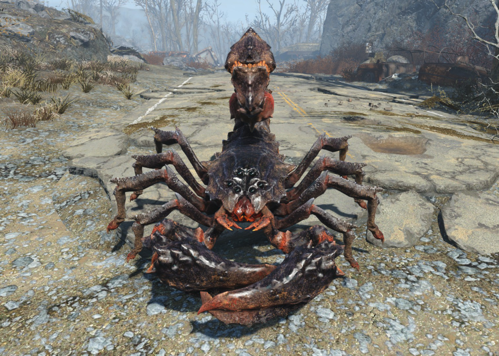 Fo4_radscorpion.png.webp.png