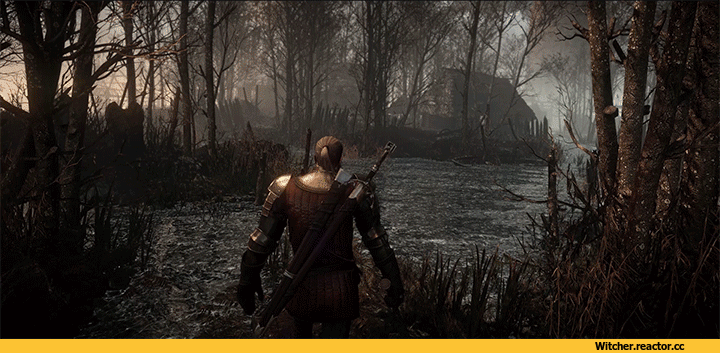 %D0%B3%D0%B8%D1%84%D0%BA%D0%B8-%D0%B8%D0%B3%D1%80%D1%8B-witcher-50-fps-1028672.gif