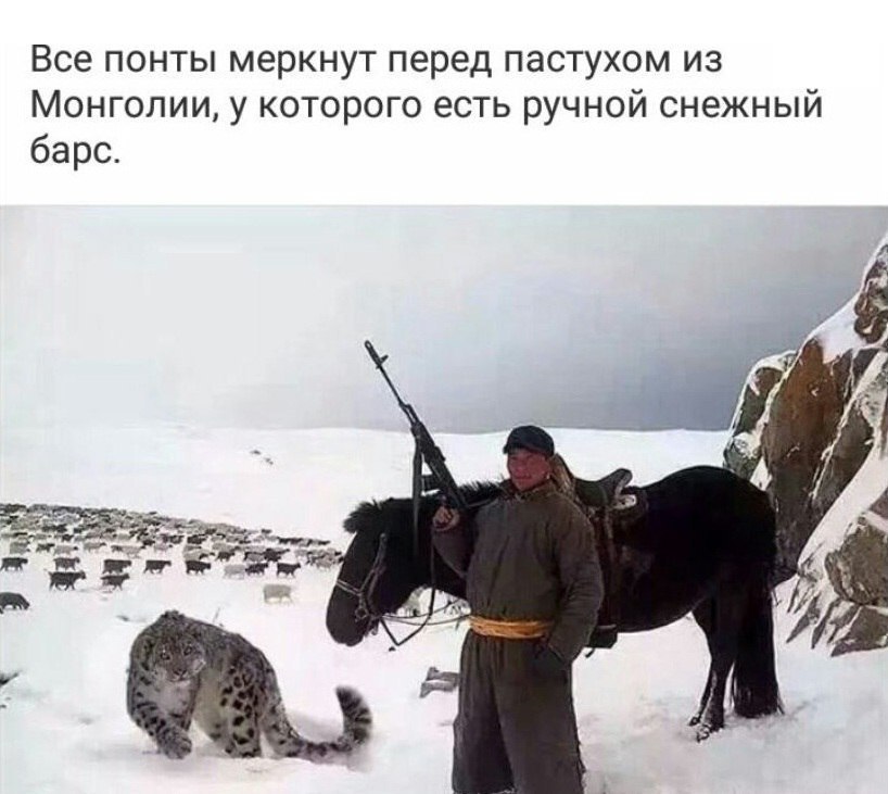 Gjv9JAaFi4Y.jpg.jpeg