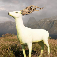 Golden-Halla.png.webp.png