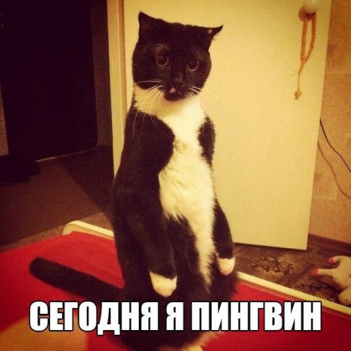 image47-2zyccwk9qadbwg3zn89q0w.jpg.jpeg