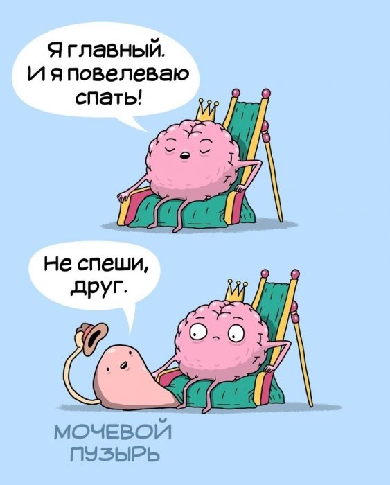 jpg.jpeg