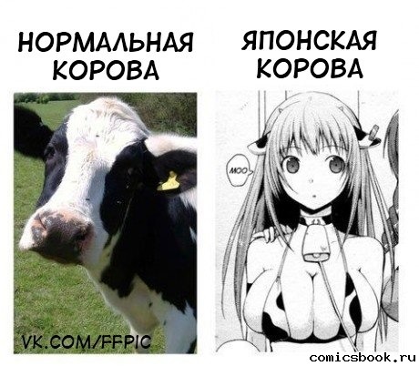jpg.jpeg