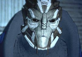 LorikQui%27in2.png.webp.png