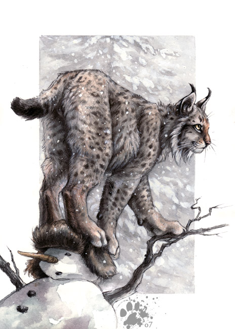lynx_lynx_by_screwbald.jpg.jpeg