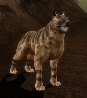 Mabari_pic2.png.webp