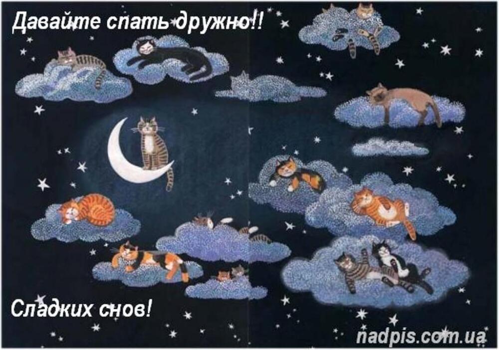 nadpiscomuadavajte-druzhno-spat.jpg.jpeg