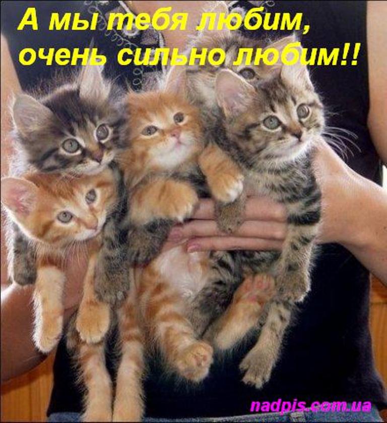 nadpiscomuamy-tebya-lyubim.jpg.jpeg