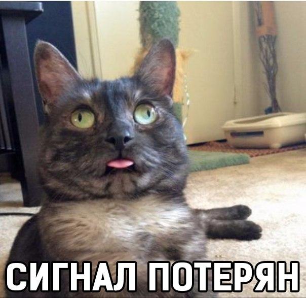 NSrFOm0stLM.jpg.jpeg