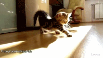 original.gif