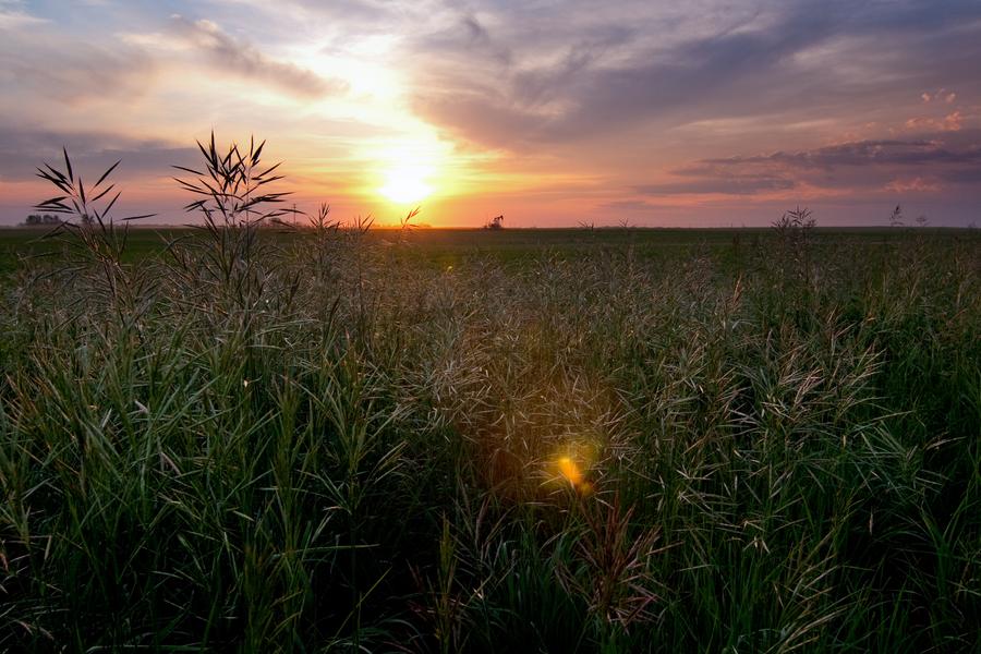 Prairie_Oil_by_conflictfree.jpg.jpeg