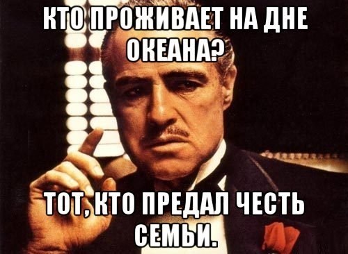 Q-Tf10lWNKM.jpg.jpeg