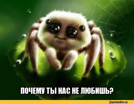 %D0%A0%D0%BE%D1%81%D1%81%D0%B8%D1%8F-%D0%9F%D1%80%D0%B8%D1%80%D0%BE%D0%B4%D0%B0-%D0%BA%D0%BE%D0%BD%D0%B5%D1%87%D0%BD%D0%BE%D0%B5.jpeg