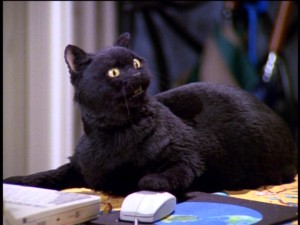 sabrina3-05.jpg.jpeg