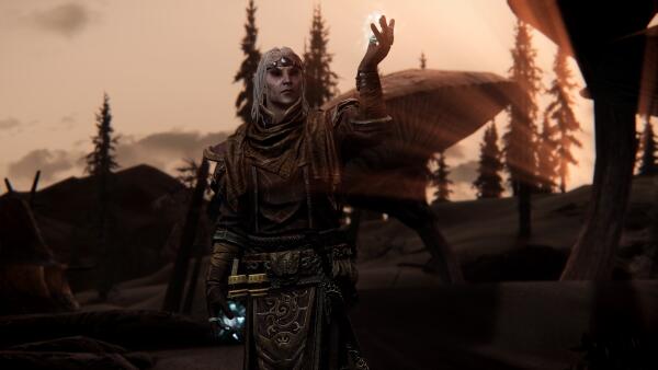 Telvanni Wizard