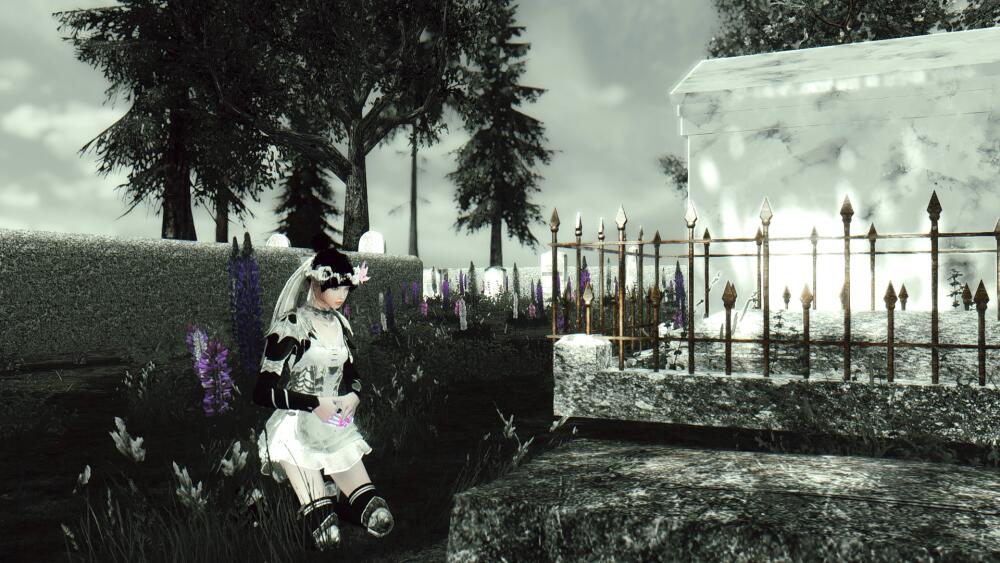 SqQsFVC.jpg.jpeg