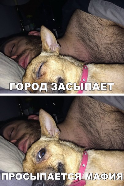SVeWMSQlJLM.jpg.jpeg