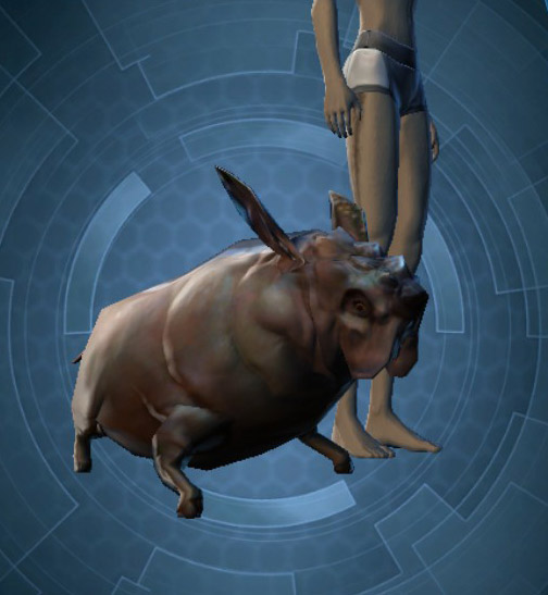 swtor-Jungle-Grophet.jpg.jpeg