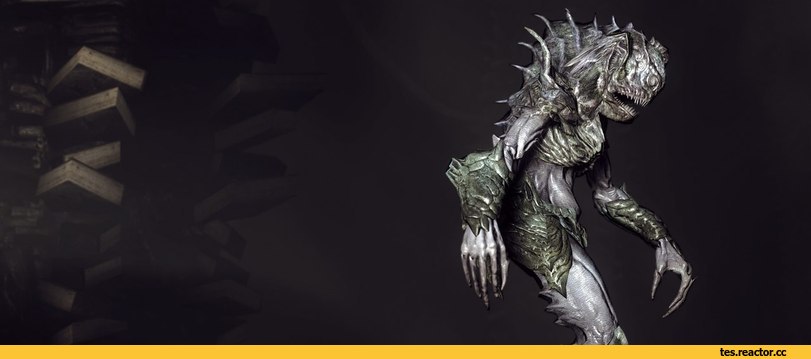TES-%D1%81%D0%BA%D1%80%D0%B8%D0%BD%D1%88%D0%BE%D1%82%D1%8B-The-Elder-Scrolls-%D1%84%D1%8D%D0%BD%D0%B4%D0%BE%D0%BC%D1%8B-Dragonbo.jpeg