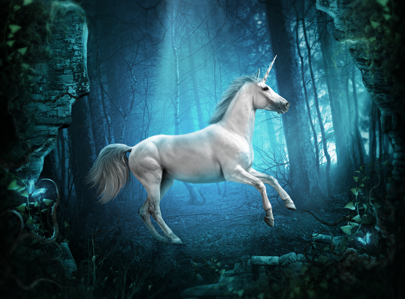 the_unicorn_by_whendell-d4ld7xi.png.png