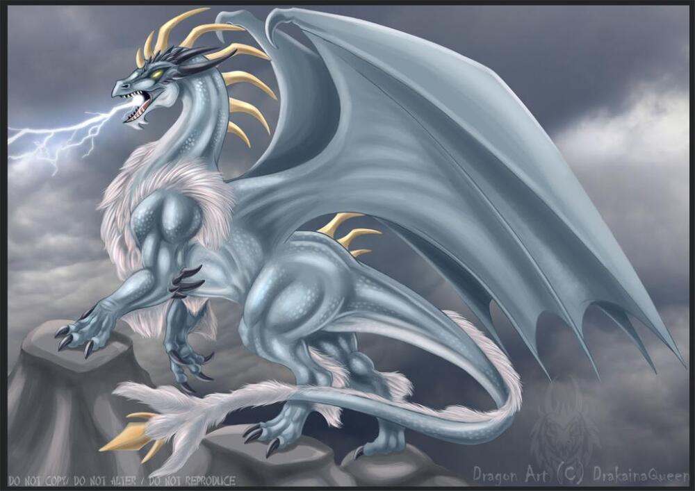 Thuder_Dragon___Commission_by_DrakainaQueen.jpg.jpeg