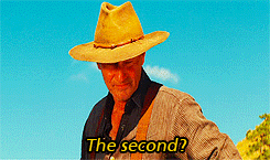 tumblr_lxz1klvxWV1qm49nko3_250.gif