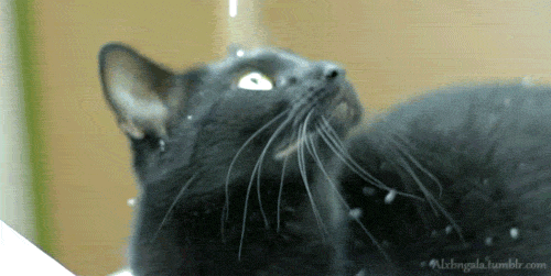 tumblr_static_tumblr_lz7e191nfz1qbxi45o1_500.gif
