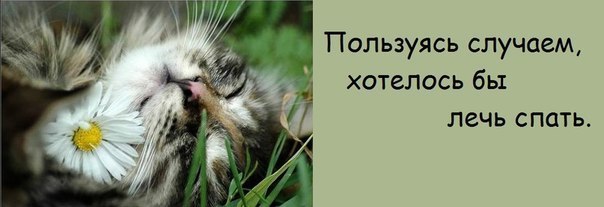 u_a775acd5433fe13712651dfbb839074f_800.jpg.jpeg