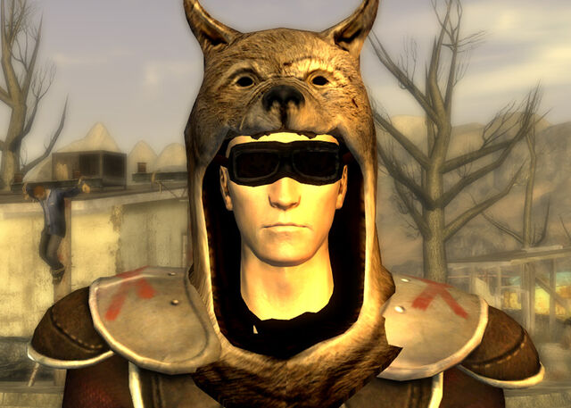 Vulpes_Inculta.jpg.jpeg