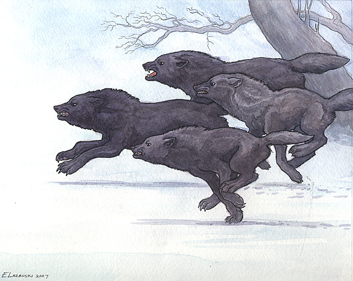 wargs_running_by_emla.jpg.jpeg