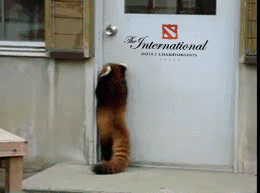 zveCKmQ.gifp.gif