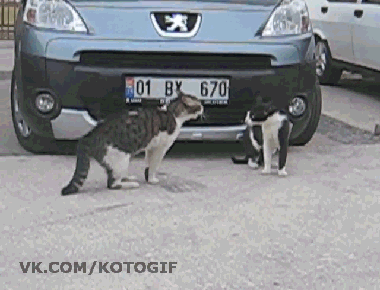 049b74057c06.gif