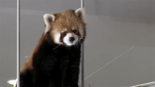 0a15a2d581b5449f0147dd6a7363d409.gif