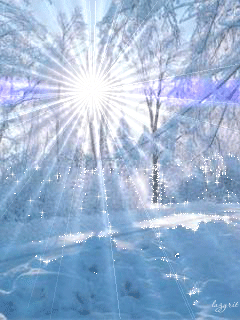 1193063.gif