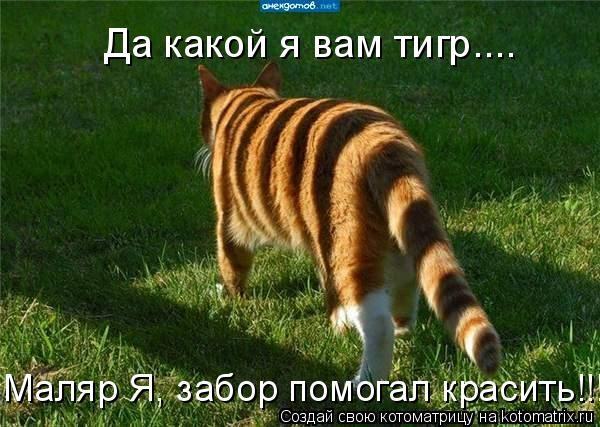 1314795219_980725.jpg.jpeg