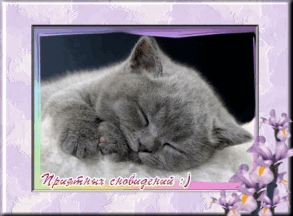 1353900.gif