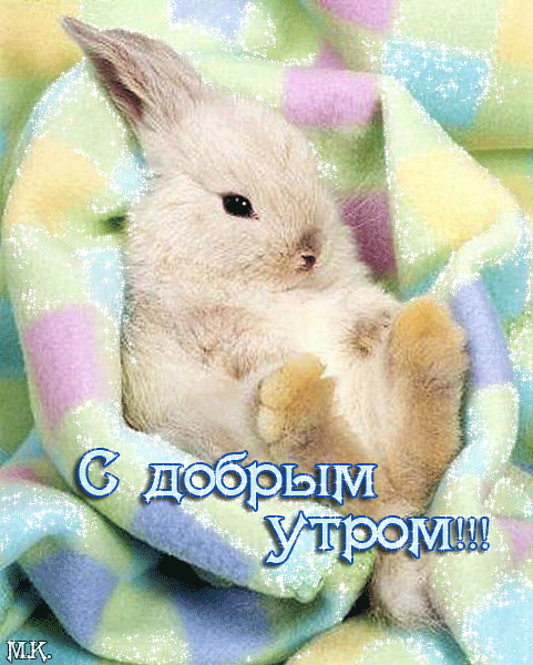 143225565.gif