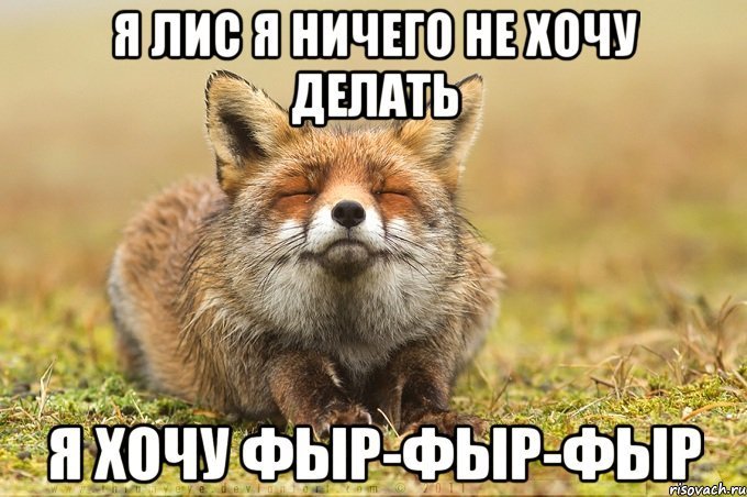 1445023758198730023.jpg.jpeg