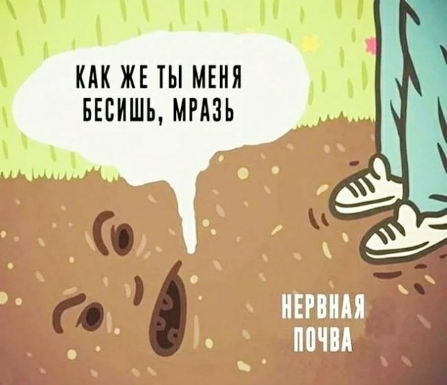 14655415.jpg.jpeg