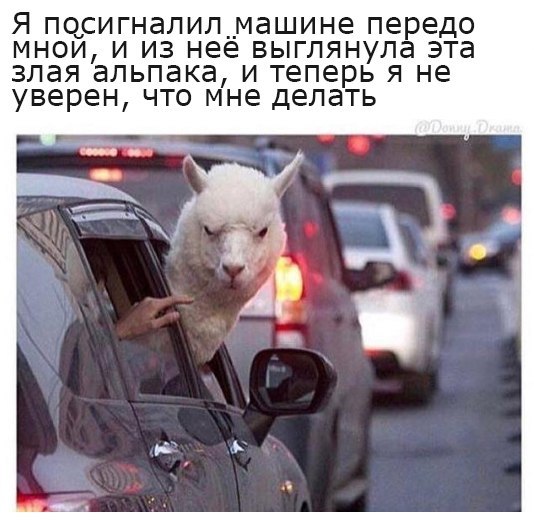 1487610601171457878.jpg.jpeg
