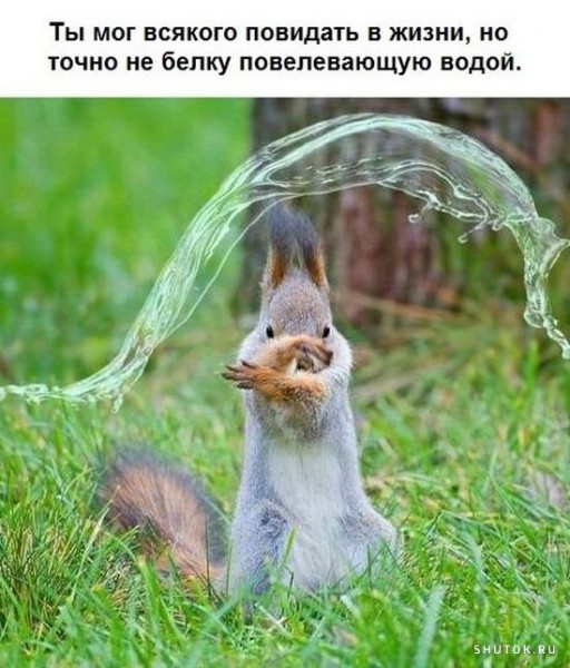 1596786478.jpg.jpeg