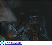 15fb720978dbt.jpg.jpeg