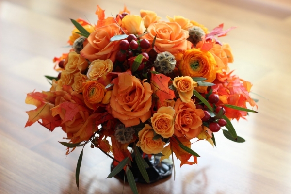 2015-11-17-flora-opt-1.jpg.jpeg